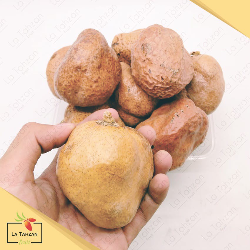 Buah Zuriat Mesir / Doum Original 500 gram FREE Testpack Original