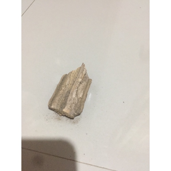 

Temawar (obat penawar racun asli kalimantan)