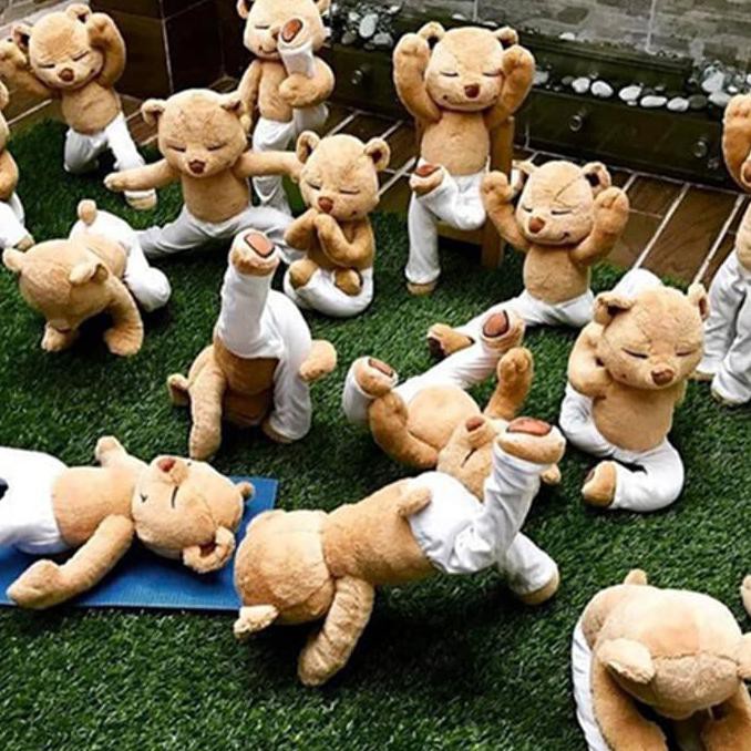 Mainan Boneka Beruang Yoga Bahan Plush Lembut Fleksibel Untuk Anak - Termurah 