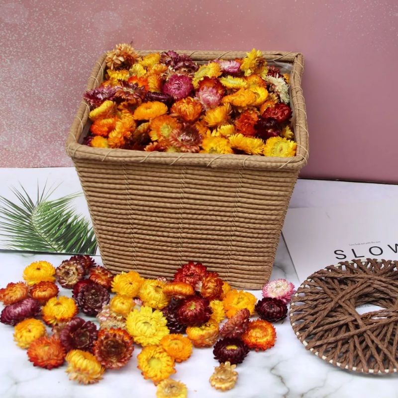 Bunga Kering Krisan / Bunga Resin / Epoksi Resin / Dried Daisy / Daisy Kering / Kelopak Bunga DIY / 