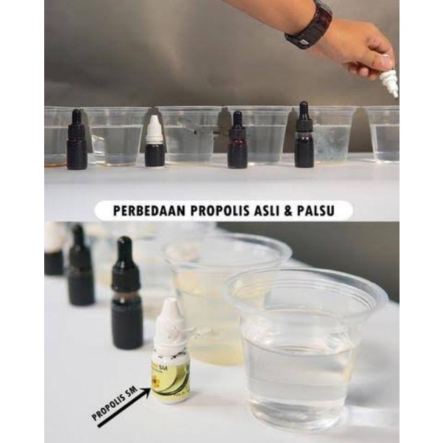 Propolis Brazil SM 6ml Original