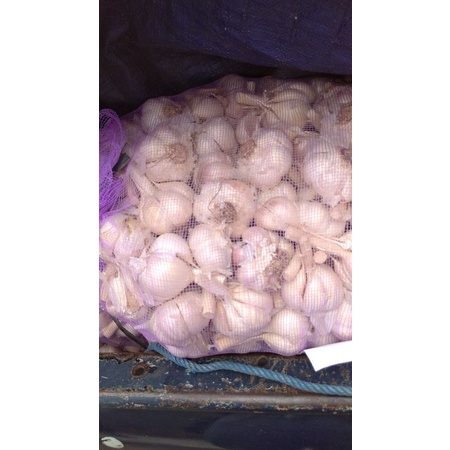 

Bawang putih kating 22.200/kg