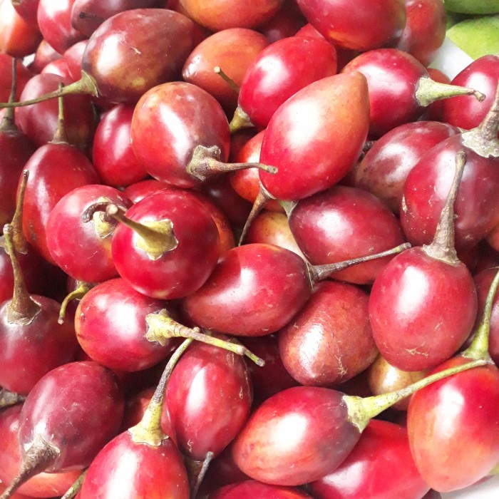 

Terong Belanda Super / Buah Tiung Fresh 1Kg
