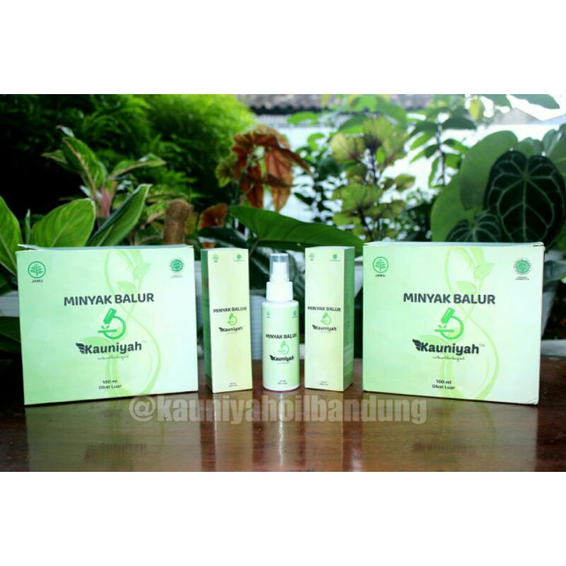 Minyak Balur Kauniyah - Kauniyah Oil