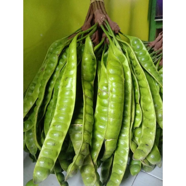 

Pete lonjor / per papan