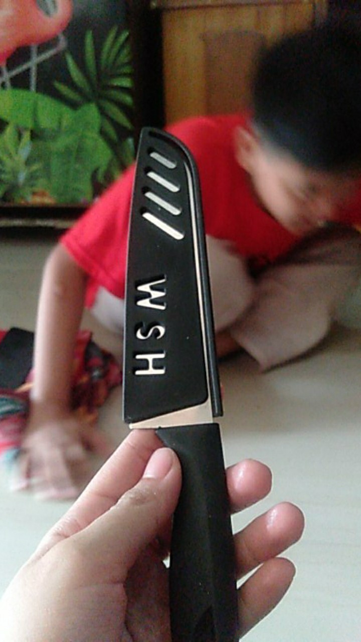 Pisau Buah Cover - Pisau Dapur Cover Stainless Ukuran 23 Cm