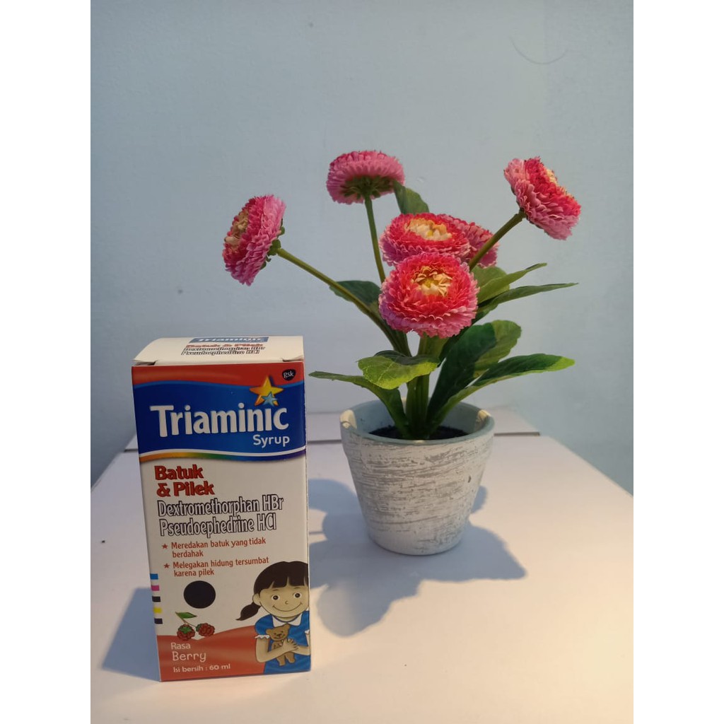 

Triaminic Syrup Batuk Kering & Pilek 60ml // Rasa Cherry