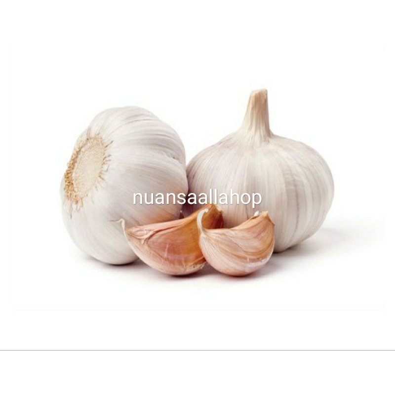 

Bawang Putih 500gr / 1Kg
