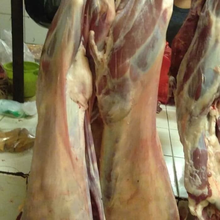

Karkas Kambing Muda Batibul 8 kg