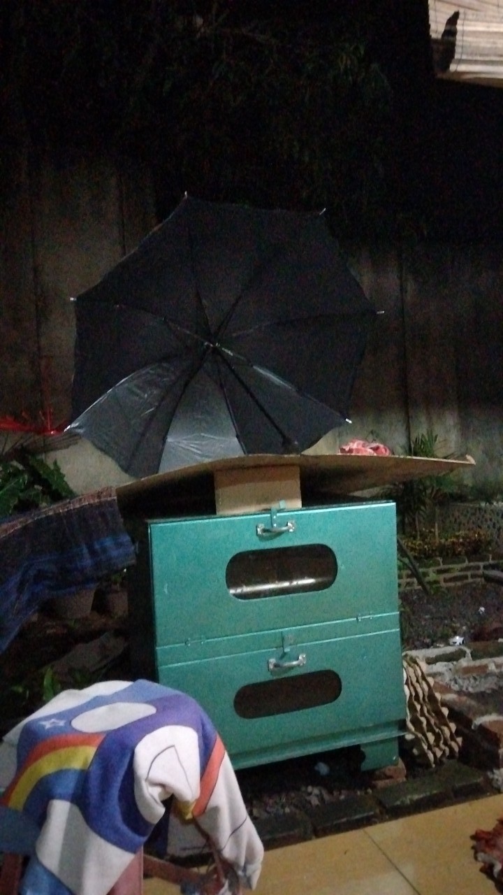 Payung 3 Dimensi / Payung 3d / Berubah Motif Saat Hujan Plus Sarung Payung/ Payung Lipat