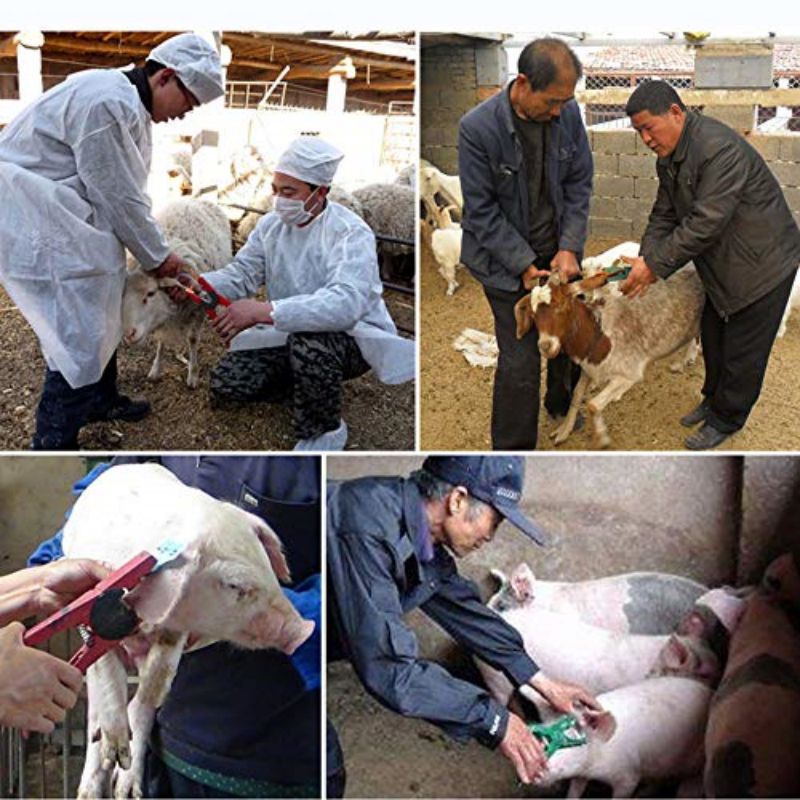 Aplikator Eartag Applicator Eartag Domba Kambing Sapi Babi Tang Applikator