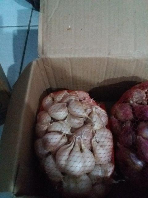 Bawang Putih Kating Harum Bersih 1 Kg
