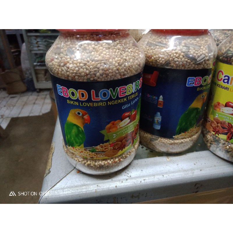Pakan milet putih Ebod Lovebird,, miltih