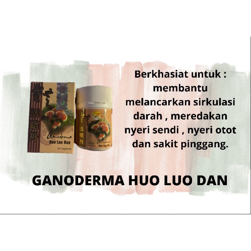 GANODERMA HUO LUO DAN/Obat saraf kejepit, sakit pinggang asam urat herbal