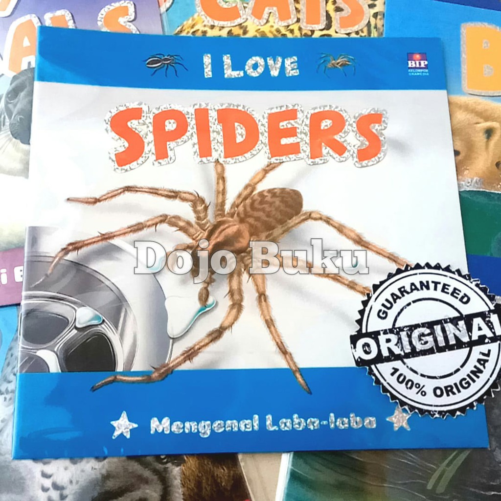 Seri I Love : Spiders by Steve Parker