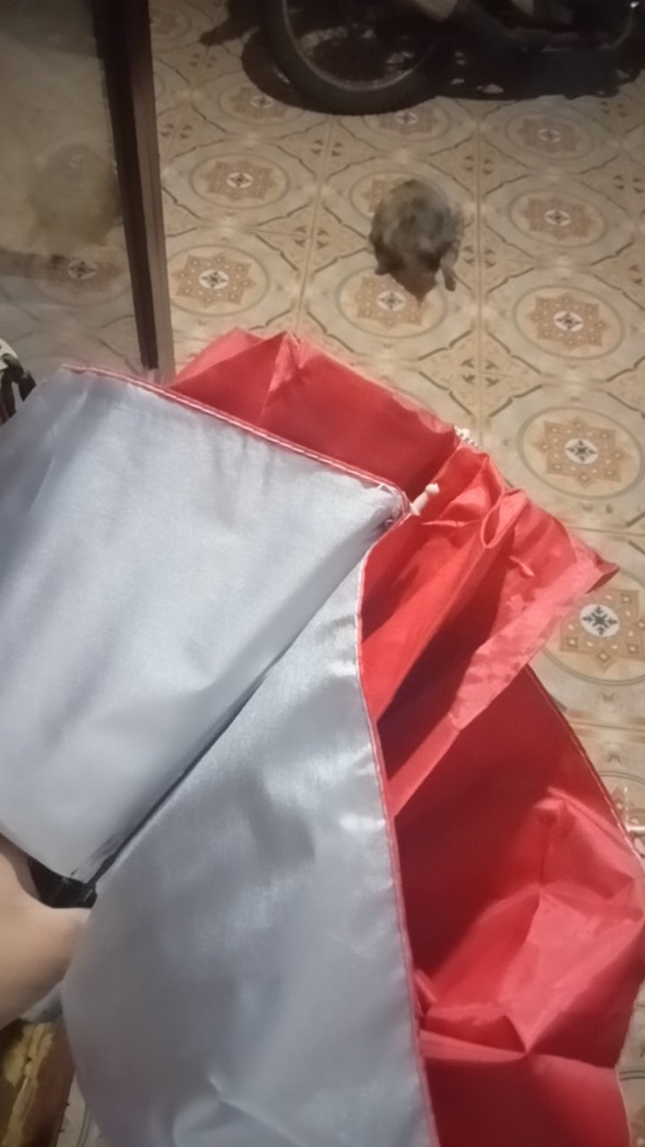 Payung Lipat Polos Model Polos Lapis Biru ,pink,hijau Tua,navy, Dalam Anti Radiasi Matahari [import]