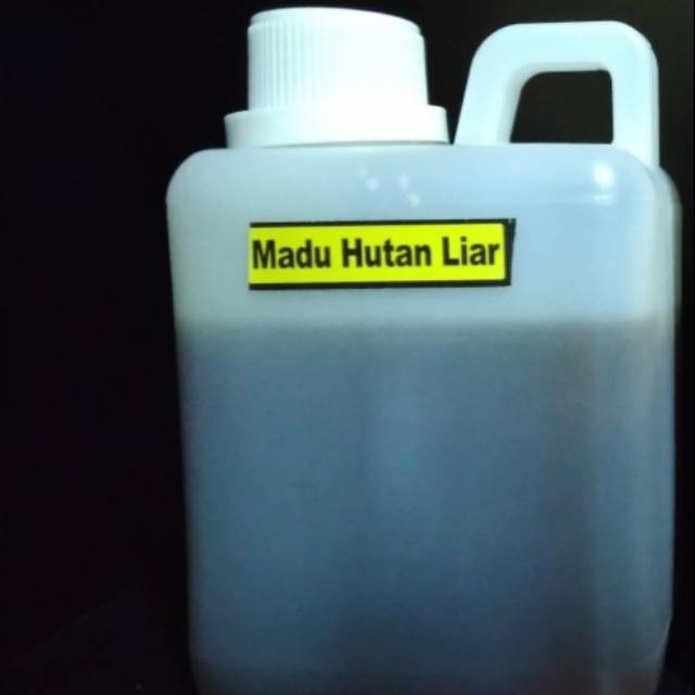 

Madu Hutan Liar