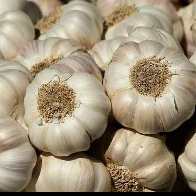 

Bawang putih 1 kg