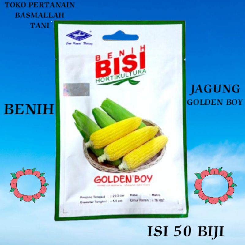 BENIH BISI JAGUNG GOLDEN BOY ISI 50 BIJI