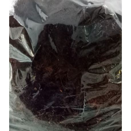 

baru 1 Kg Moss Hitam Akar Kadaka TERLARIS herbal