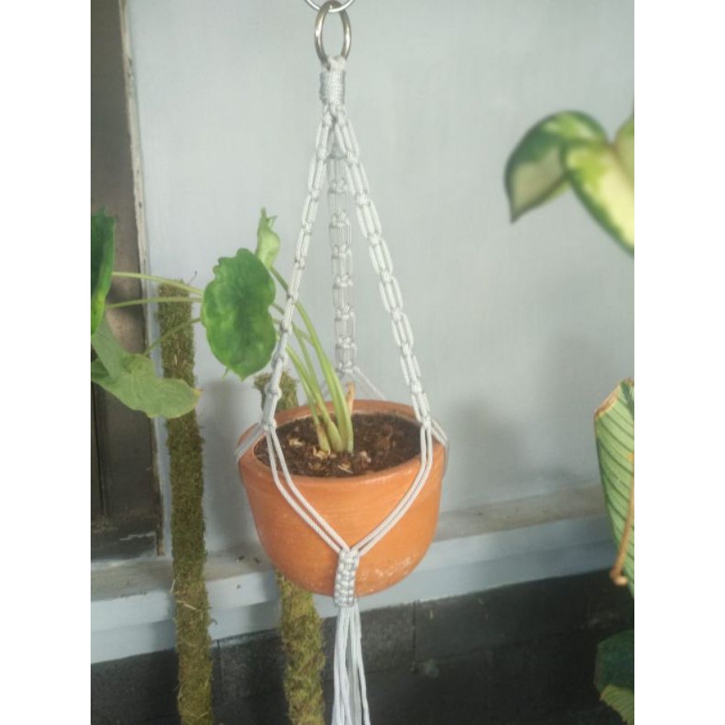 macrame gantungan pot dari tali kur Shopee Indonesia