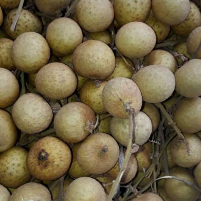 

kelengkeng