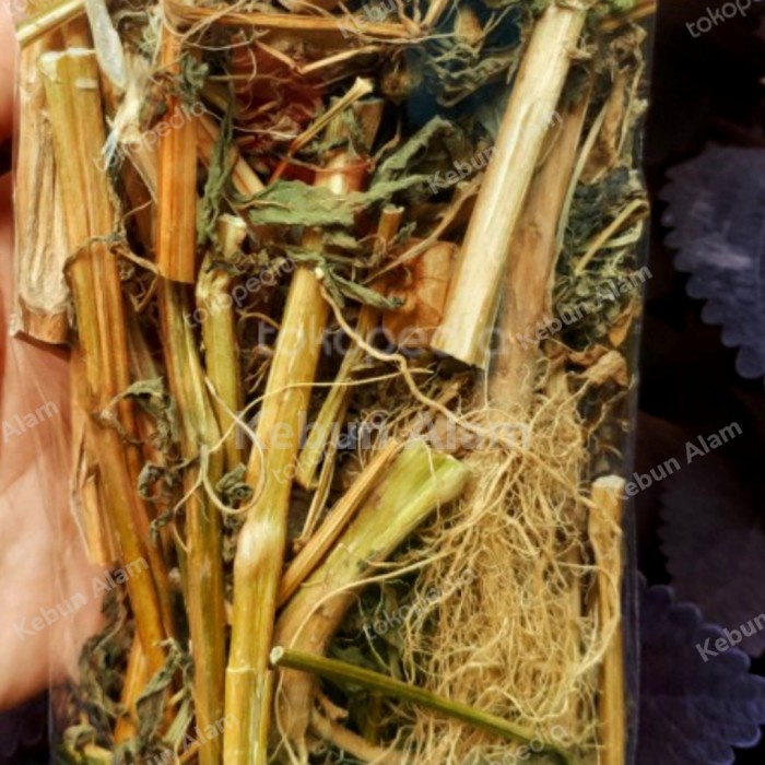 

[New] teh ciplukan kering 100 gram