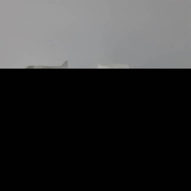 Converse CT Hi Optical White Second Original