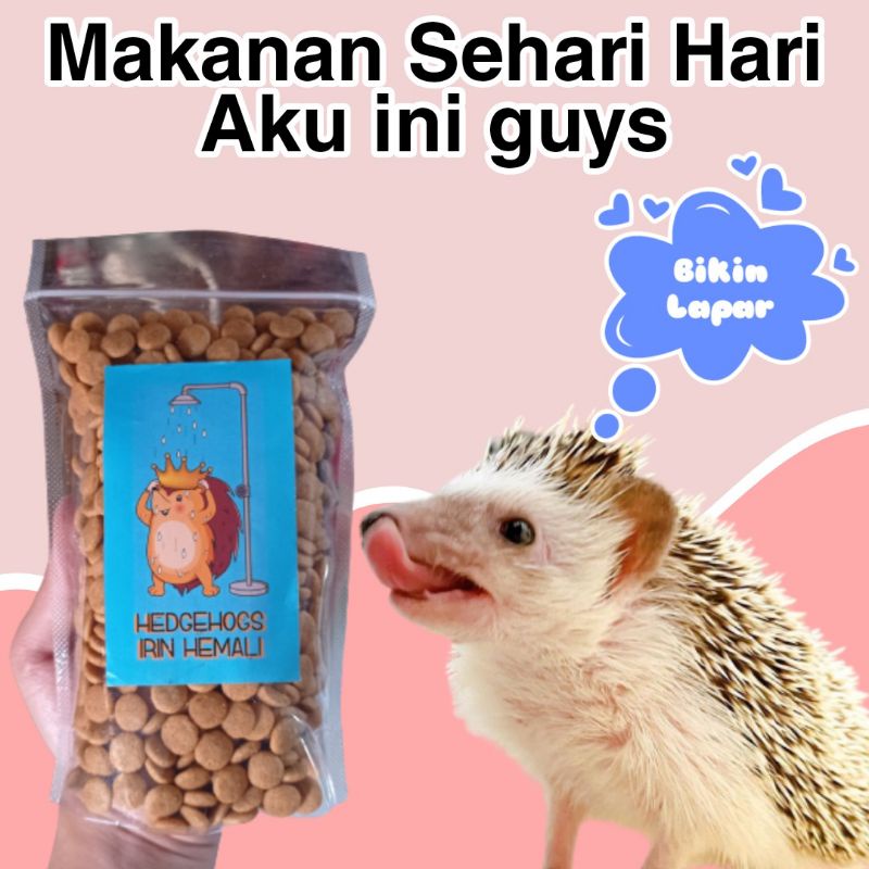 Makanan landak mini murah anakan indukan sepasang albino pinto tobiano salt and papper hamster marmu