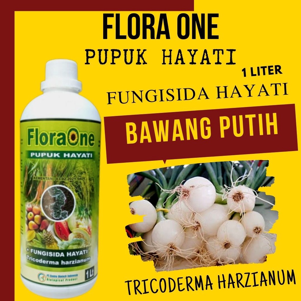 Tricoderma Cair Fungisida Hayati Atasi Busuk, Pupuk Hayati Untuk Bawang Putih