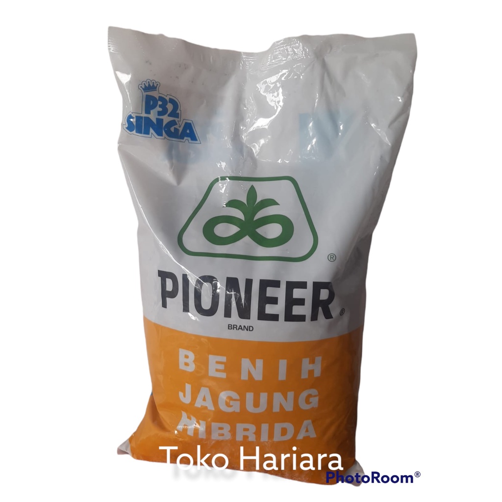Bibit Jagung Pioneer P32 Singa - 5Kg