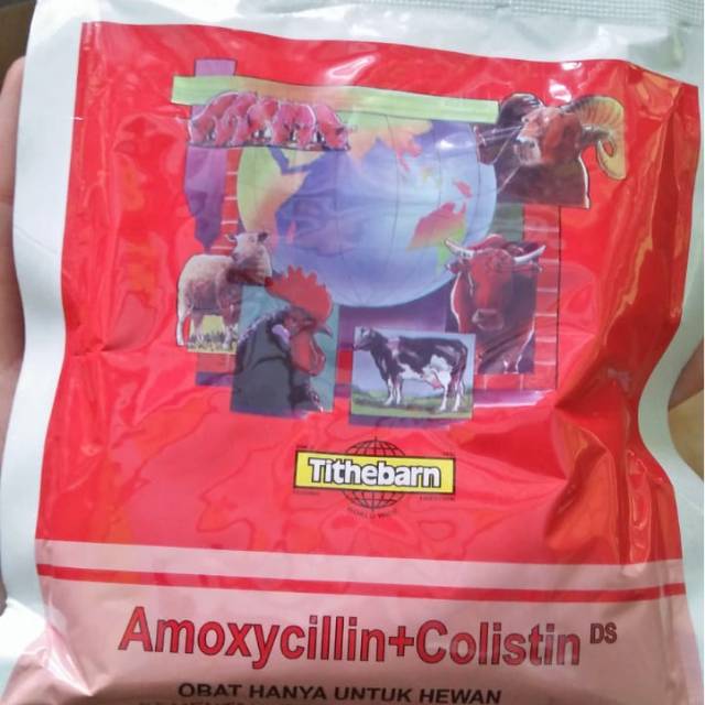 

Amoxycillin + collistin
