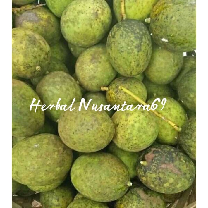 

Ready Buah Pakel/buah limus/buah bacang mentah 1kg untuk rujak dll