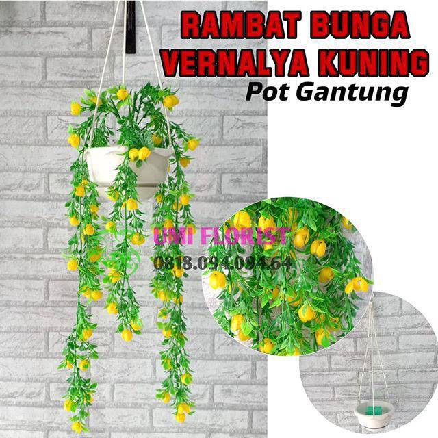 ( POT GANTUNG) Bunga Rambat Plastik Vernalya Shabbychic