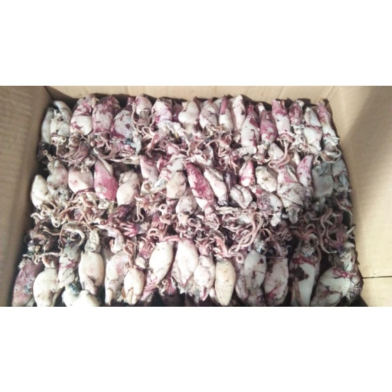 

Cumi Asin Rebus / Basah 500 gr