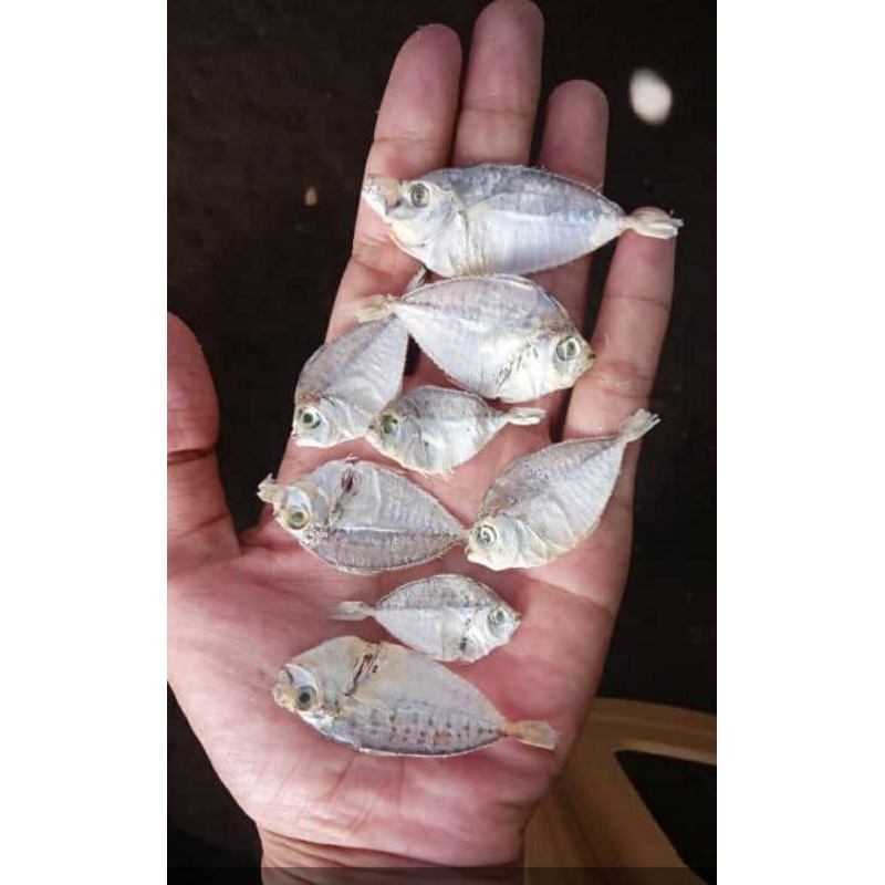 

ikan asin kering 100 gr