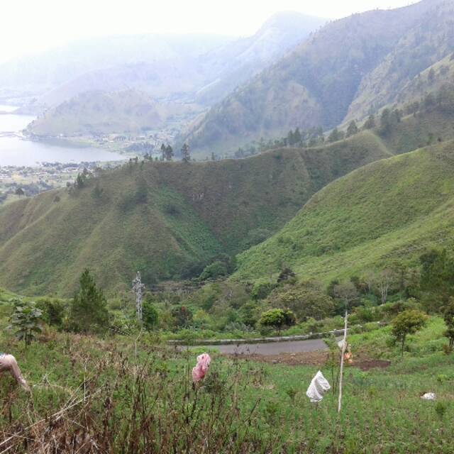 ihsanjayapramono