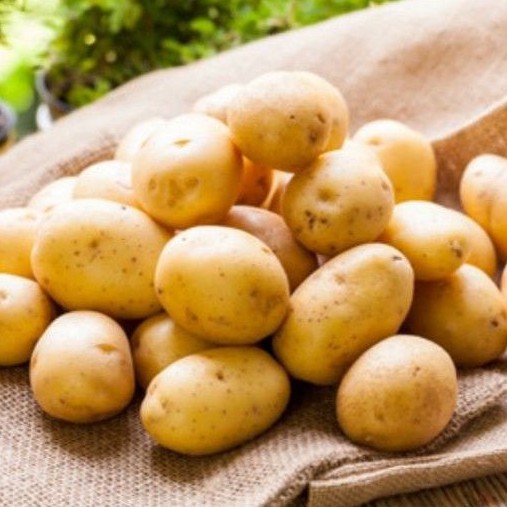 

BABY POTATO FRESH / KENTANG BABY SEGAR 500 GRAM / PACK