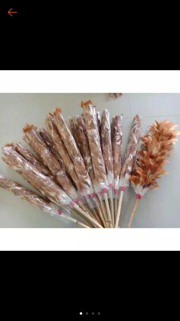 Kemoceng Bulu Ayam 1 Warna Murah