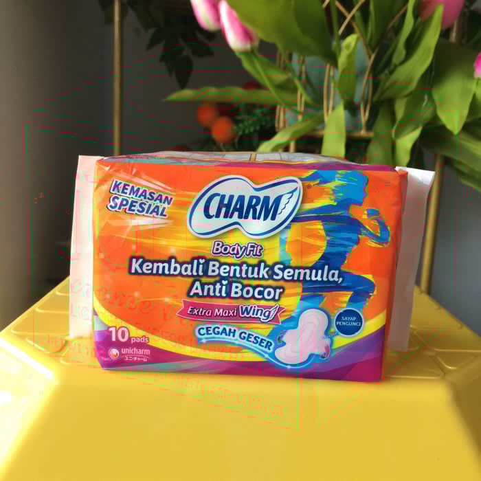 Charm Bodyfit Wing Isi 10