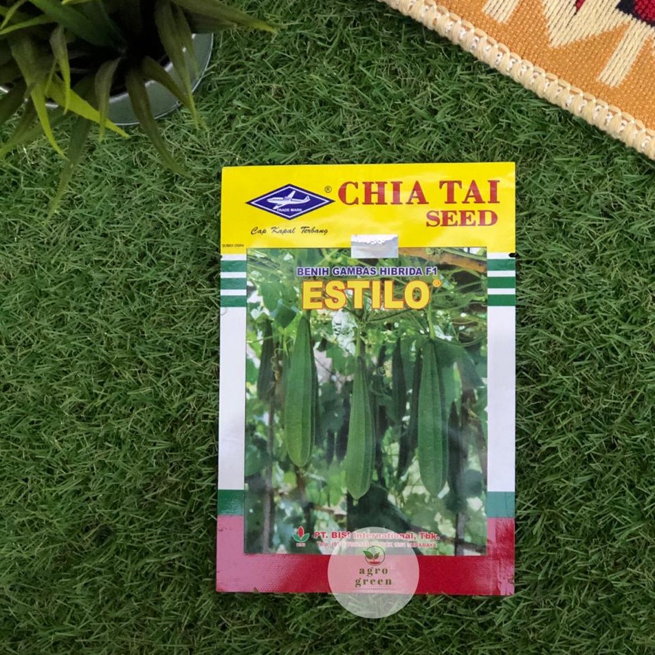 BIBIT GAMBAS/OYONG ESTILO HIBRIDA F1 - CAP KAPAL TERBANG