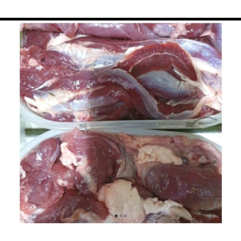 

daging kambing muda fress/1kg