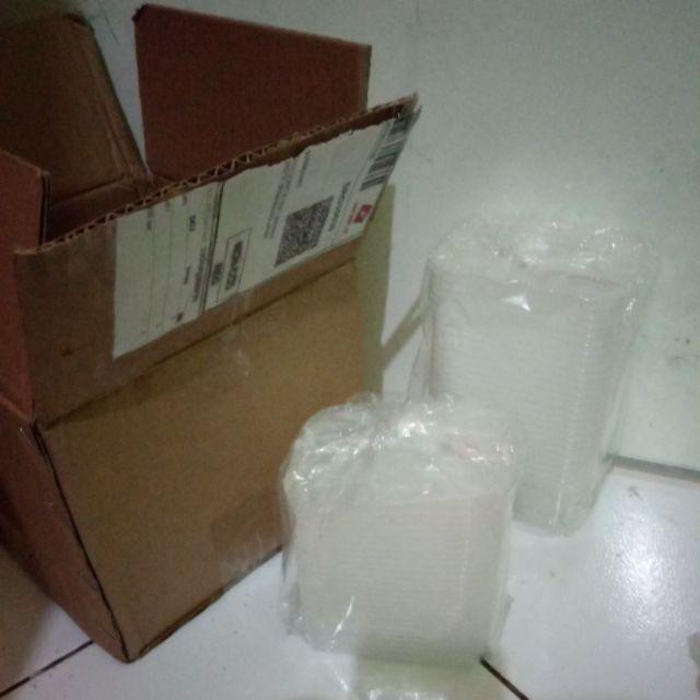 @25pcs Thinwall Dm Rect 250ml + Tutup / Kotak Makan Mini/ Lunch Box 250 Ml