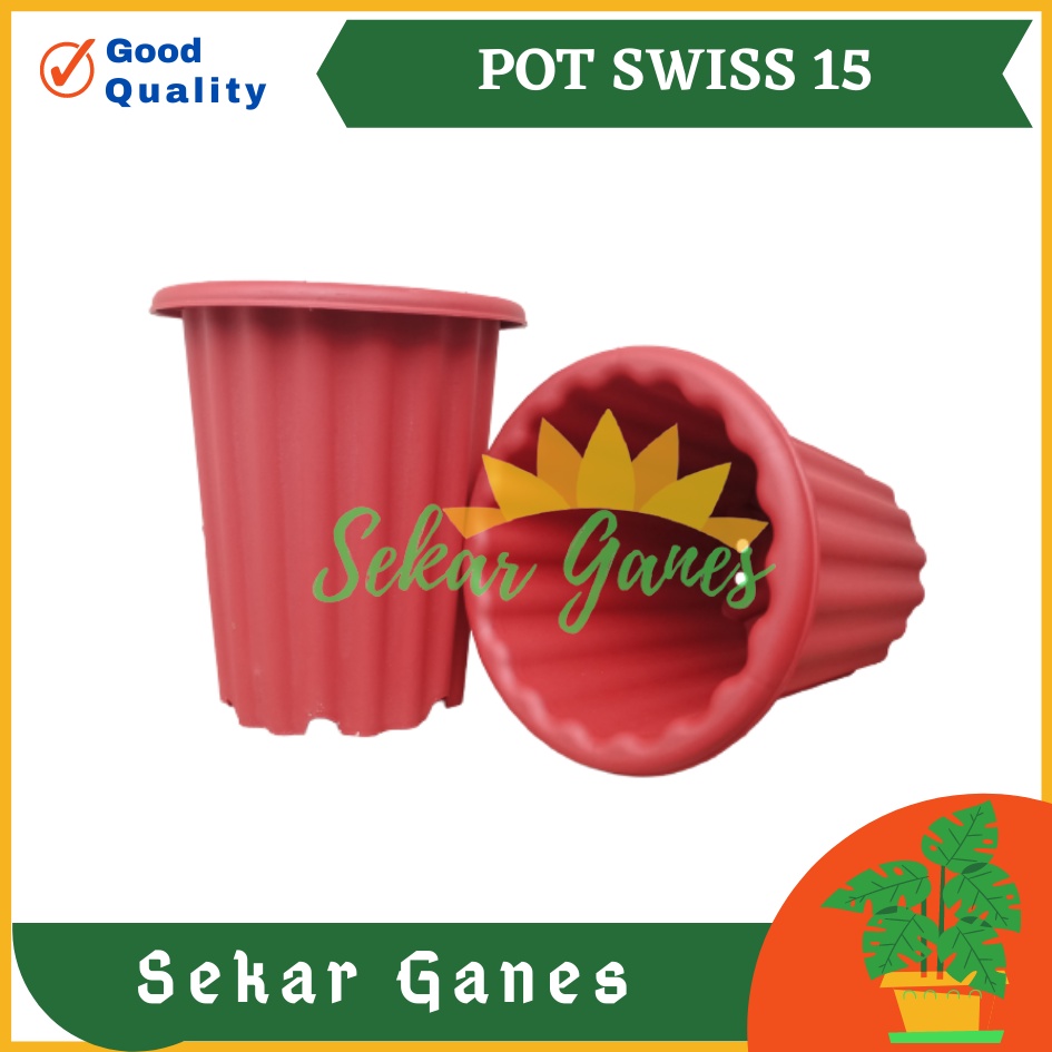 Sekarganes Pot Swiss 15 Putih Pot Yogap 10 13 15 Putih Coklat Merah Bata Bening Transparan Pot Yogap 17 18 19 Pot Yogap Murah Pot Bunga Tinggi Pirus Tegak Bagus Tebal