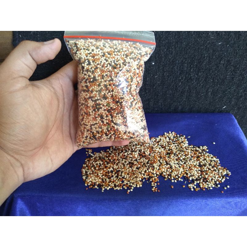 PAKAN KENARI ANTI MACET KHUSUS KENARI