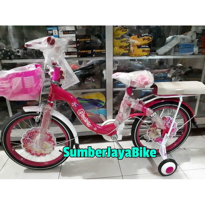 Dijual sepeda anak mini 18" pacific Berkualitas