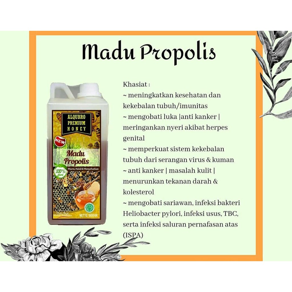 

Madu Hutan Propolis Al-Qubro