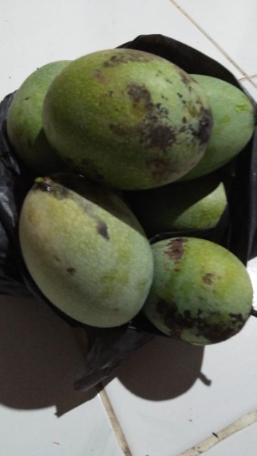 Kunci Ring Pas 17 19 21 22 Mm Hd Satin Crv Chrome Vanadium Kunci Baut