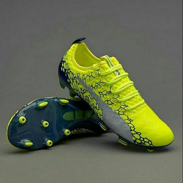 evopower vigor 1