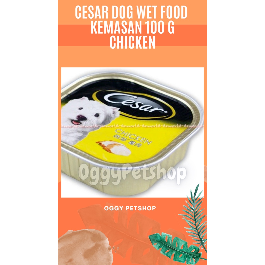 Cesar Wet Dog Food Kemasan Kaleng 100gr - Makanan Anjing Basah